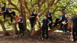 Sunningdale school – School Fees Tax Planning