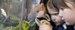 Brighton College Nursery, Pre-Prep & Prep School – School Fees Tax Planning