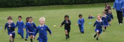 Essendene Lodge School – School Fees Tax Planning