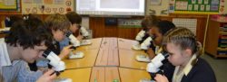 Green Meadow Independent Primary School – School Fees Tax Planning