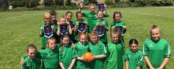 Hale Preparatory School – School Fees Tax Planning