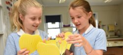 Norland Place School – School Fees Tax Planning